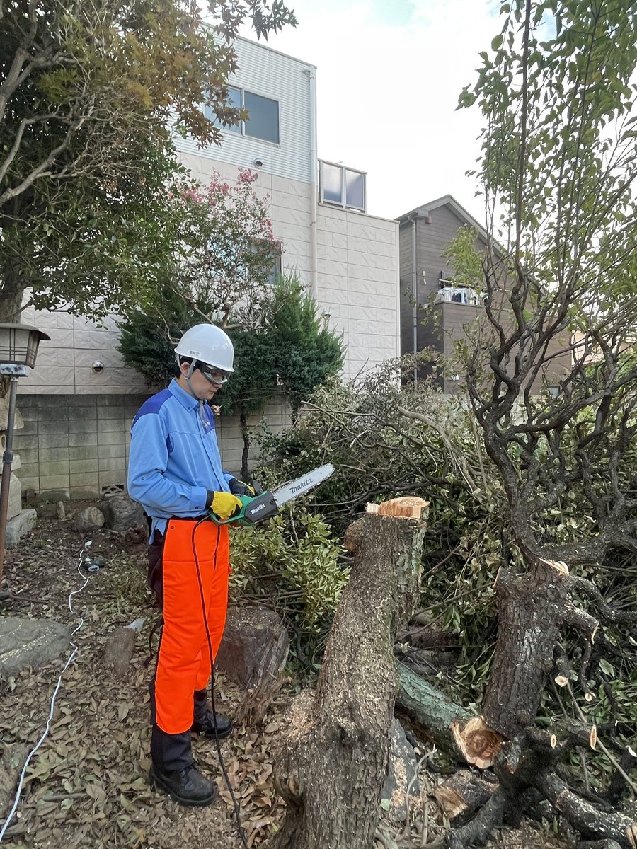 マミー高円寺保育園 園庭整備の様子（木の伐採作業）