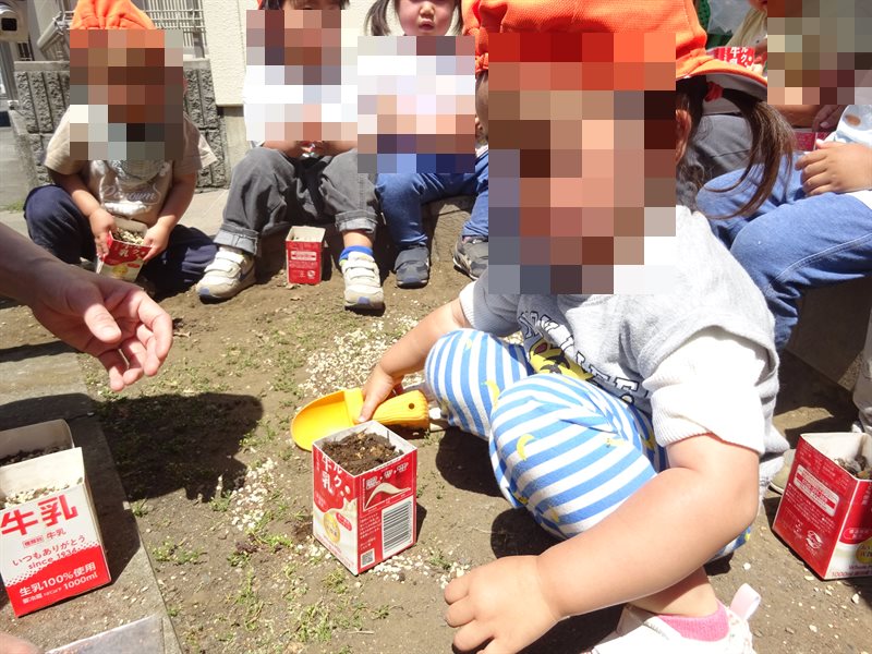 栽培活動の様子
